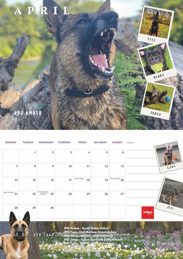 The Official NFRSA 2025 Calendar - Image 5