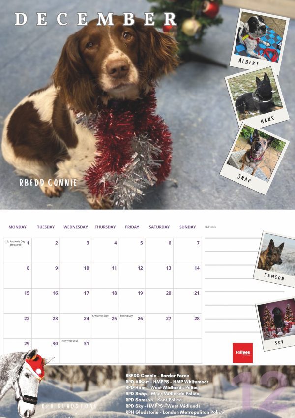 The Official NFRSA 2025 Calendar - Image 13