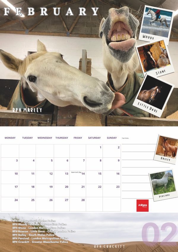 The Official NFRSA 2025 Calendar - Image 3