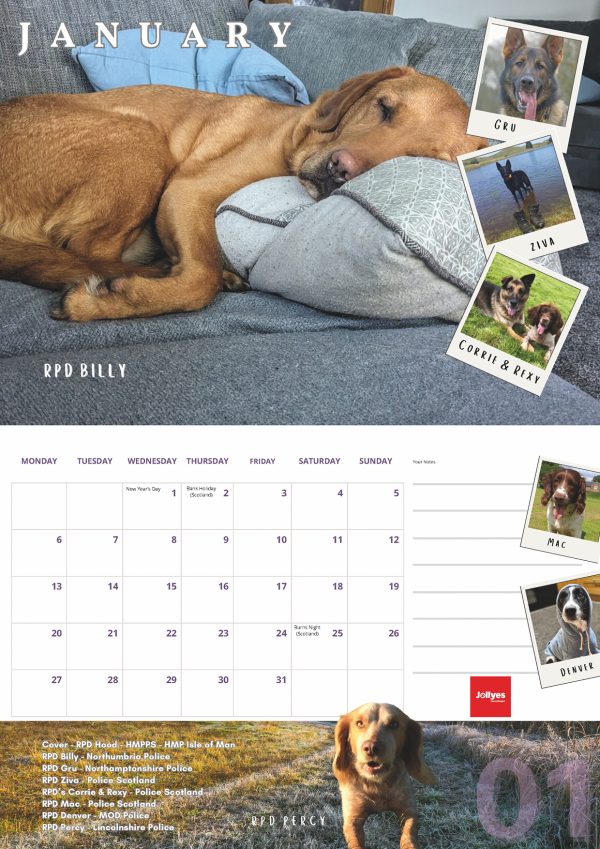 The Official NFRSA 2025 Calendar - Image 2