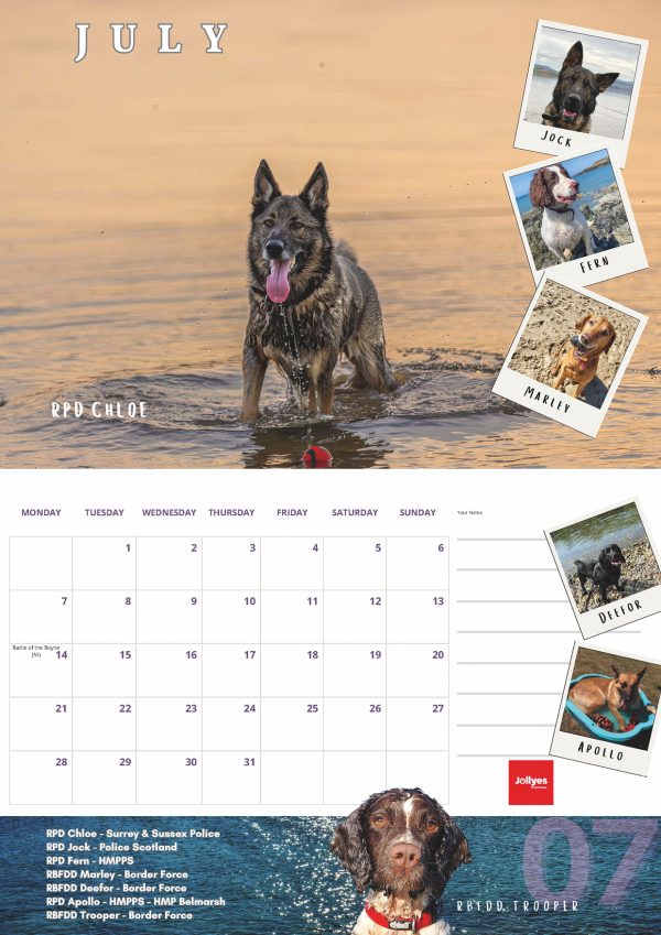 The Official NFRSA 2025 Calendar - Image 8