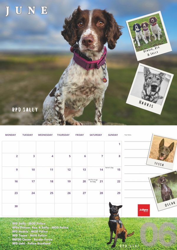 The Official NFRSA 2025 Calendar - Image 7