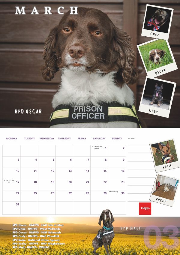 The Official NFRSA 2025 Calendar - Image 4