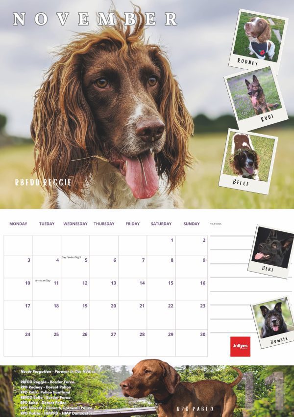 The Official NFRSA 2025 Calendar - Image 12