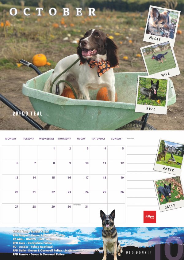 The Official NFRSA 2025 Calendar - Image 11