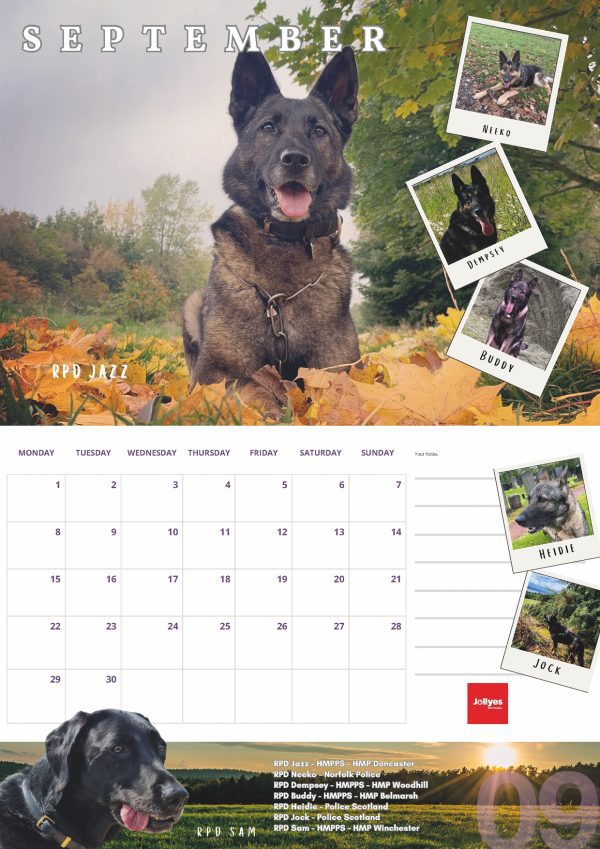 The Official NFRSA 2025 Calendar - Image 10