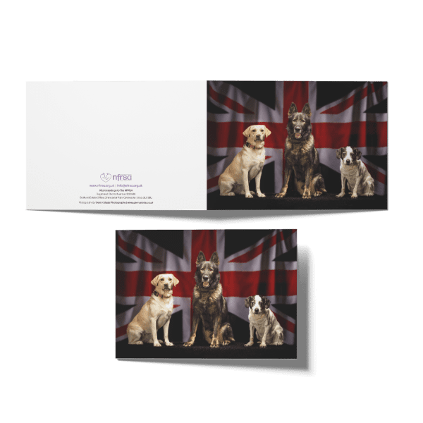 NFRSA Greeting Cards (9 Pack) - Image 4