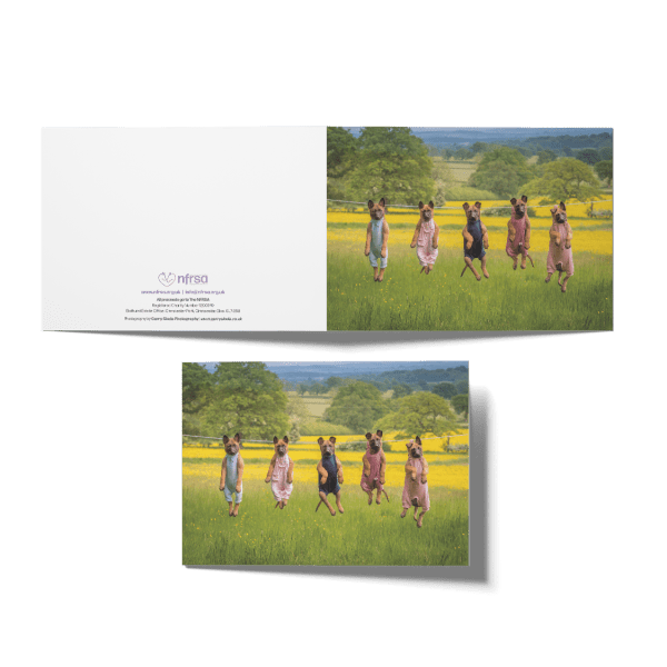 NFRSA Greeting Cards (9 Pack) - Image 3