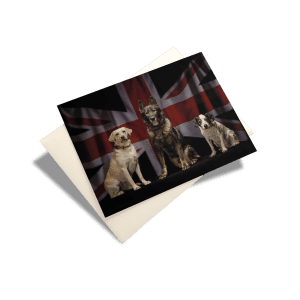 NFRSA Greeting Cards