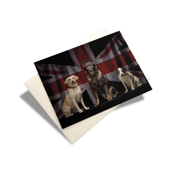 NFRSA Greeting Cards