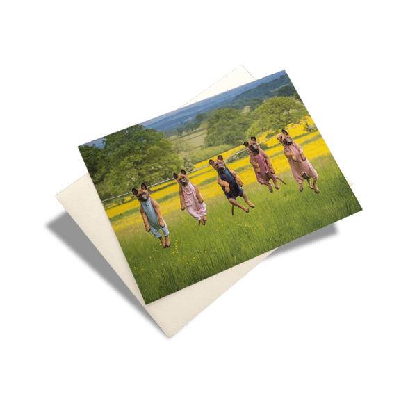 NFRSA Greeting Cards - Image 2