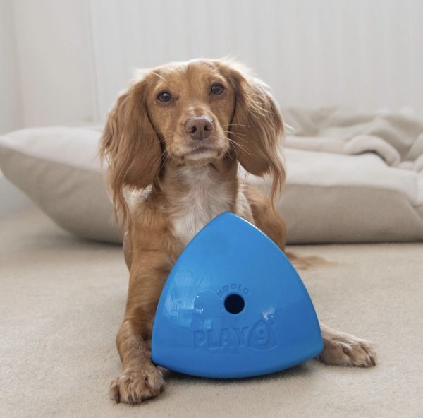 Roolo® - The Ultimate Enrichment Toy - Image 2