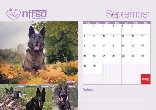 NFRSA Desktop Calendar – exclusive, limited edition! - Image 11