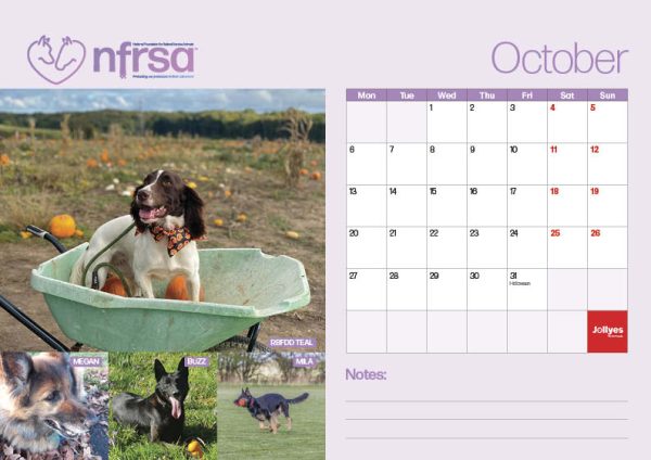 NFRSA Desktop Calendar – exclusive, limited edition! - Image 12