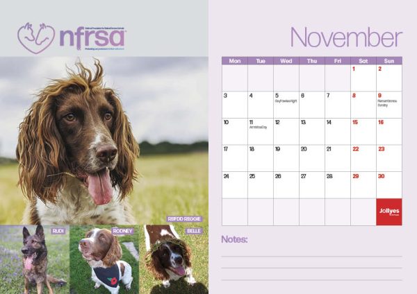 NFRSA Desktop Calendar – exclusive, limited edition! - Image 13