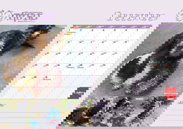 NFRSA Desktop Calendar – exclusive, limited edition! - Image 14