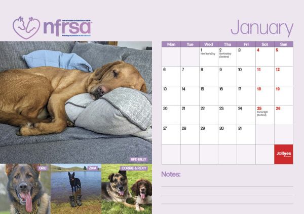 NFRSA Desktop Calendar – exclusive, limited edition! - Image 3