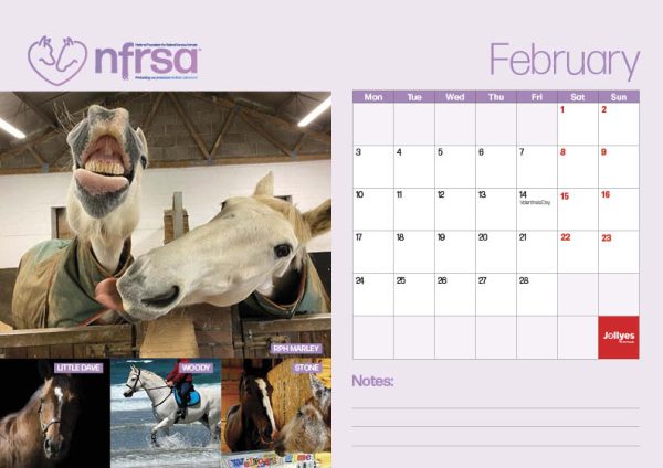 NFRSA Desktop Calendar – exclusive, limited edition! - Image 4
