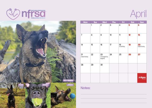 NFRSA Desktop Calendar – exclusive, limited edition! - Image 6