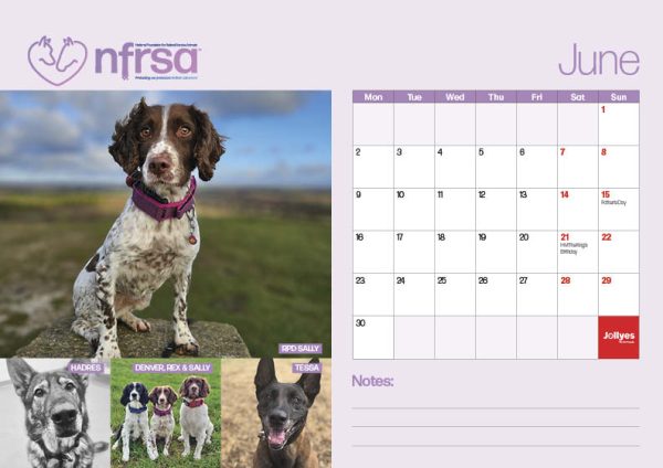 NFRSA Desktop Calendar – exclusive, limited edition! - Image 8