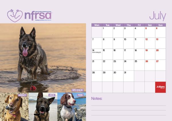 NFRSA Desktop Calendar – exclusive, limited edition! - Image 9