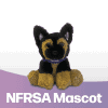 PD Hero - NFRSA Mascot