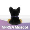 PD Hero - NFRSA Mascot