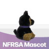 PD Hero - NFRSA Mascot
