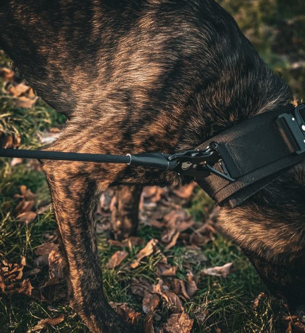 Aegis - 1.2m Frog Clip Lead - Image 2