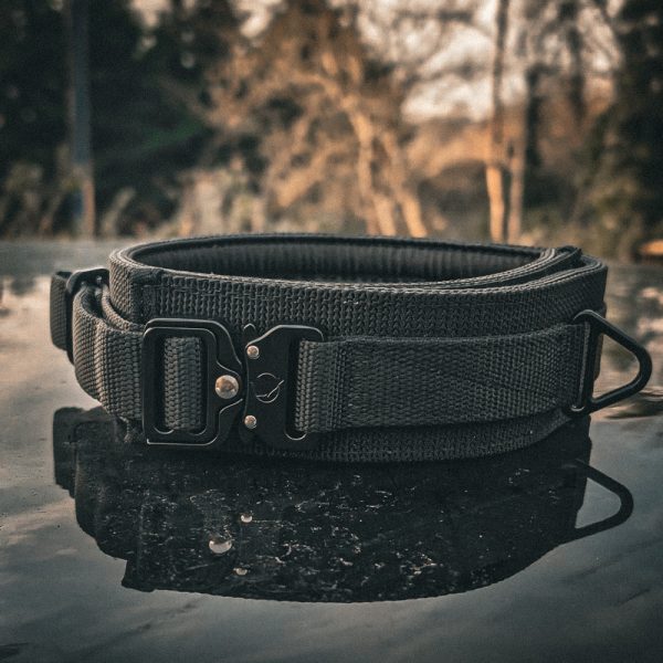 Aegis - Collar - Image 2