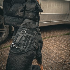 Aegis - Series V.2 Tactical Harness