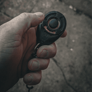 Standard Clicker