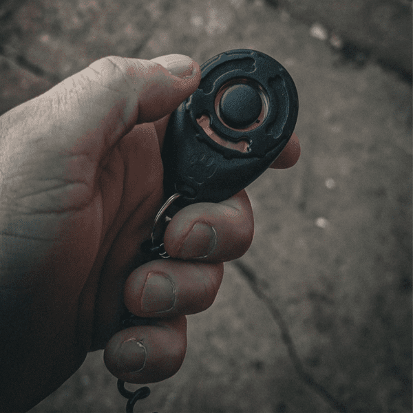 Standard Clicker