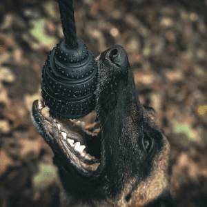 Tough Enough - Grenade
