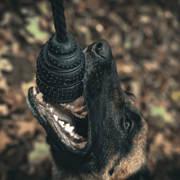 Tough Enough - Grenade