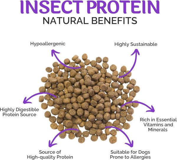 Paw-Cura Adult Small Breed Dry Dog Food (2kg) - Image 2