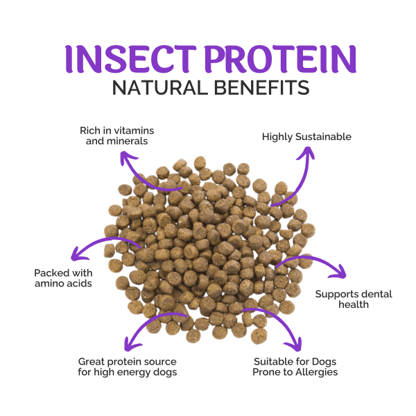 Insect protein natural benefits Paw-Cura