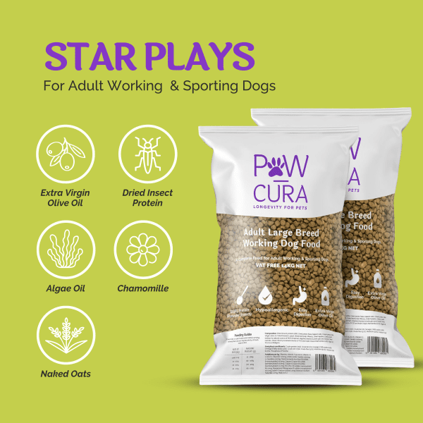 Star plays paw-cura