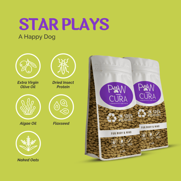 Star plays - Paw-cura large breed food