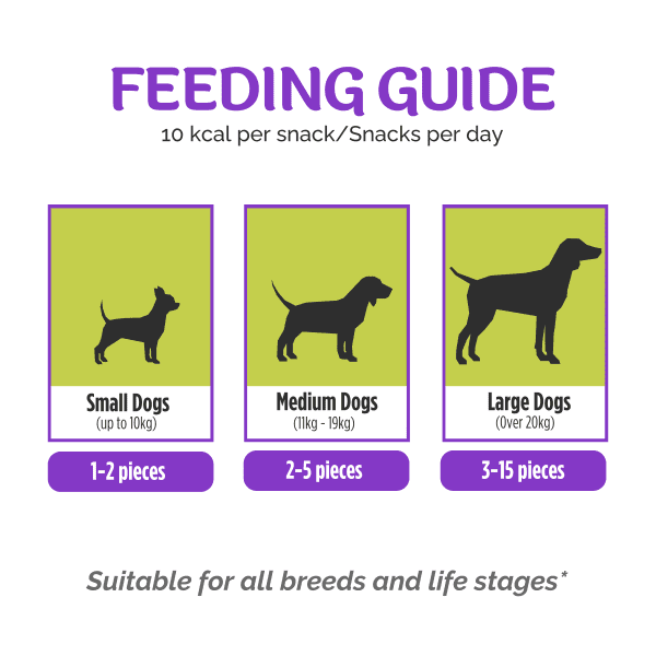 Snappeez Purple – Skin & Coat Treats - Image 6