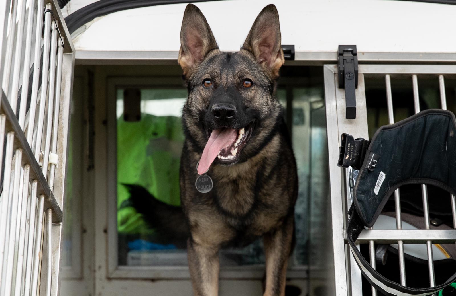 PD Coty PD Coty