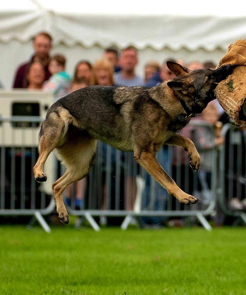 PD Coty PD Coty