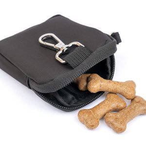 Treat Pouch