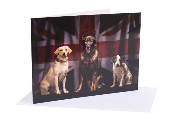 NFRSA Greetings Cards