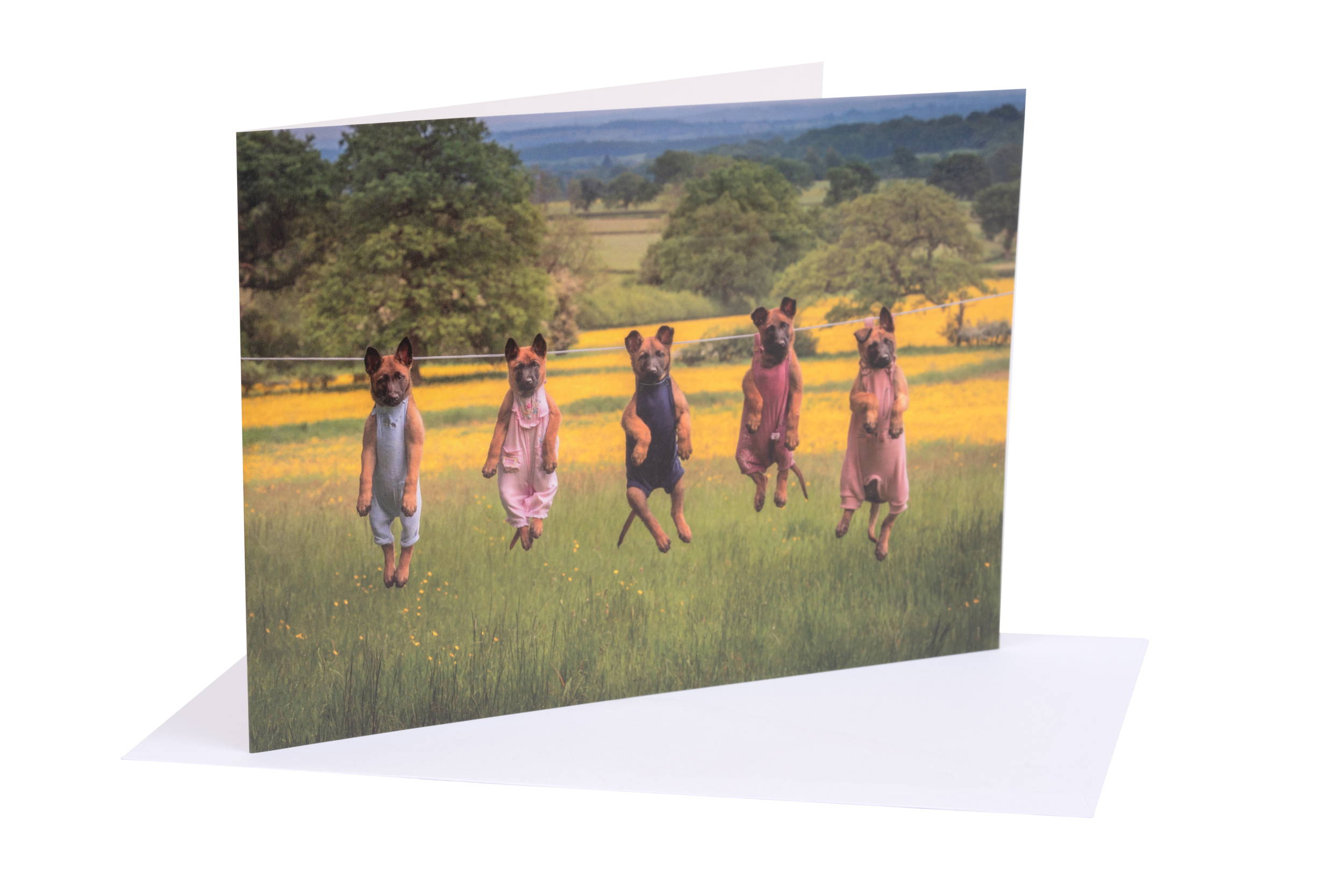 NFRSA Greetings Cards