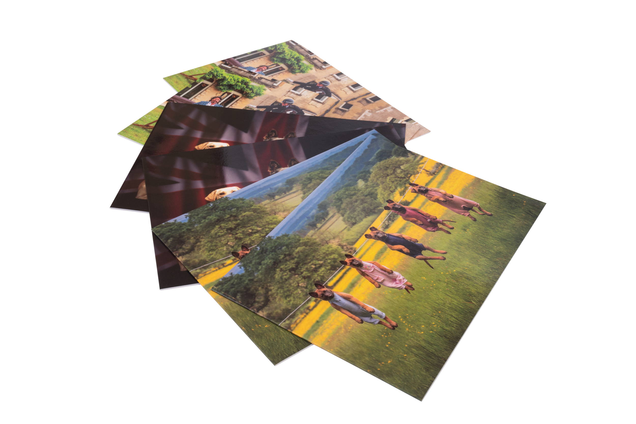 NFRSA Greetings Cards