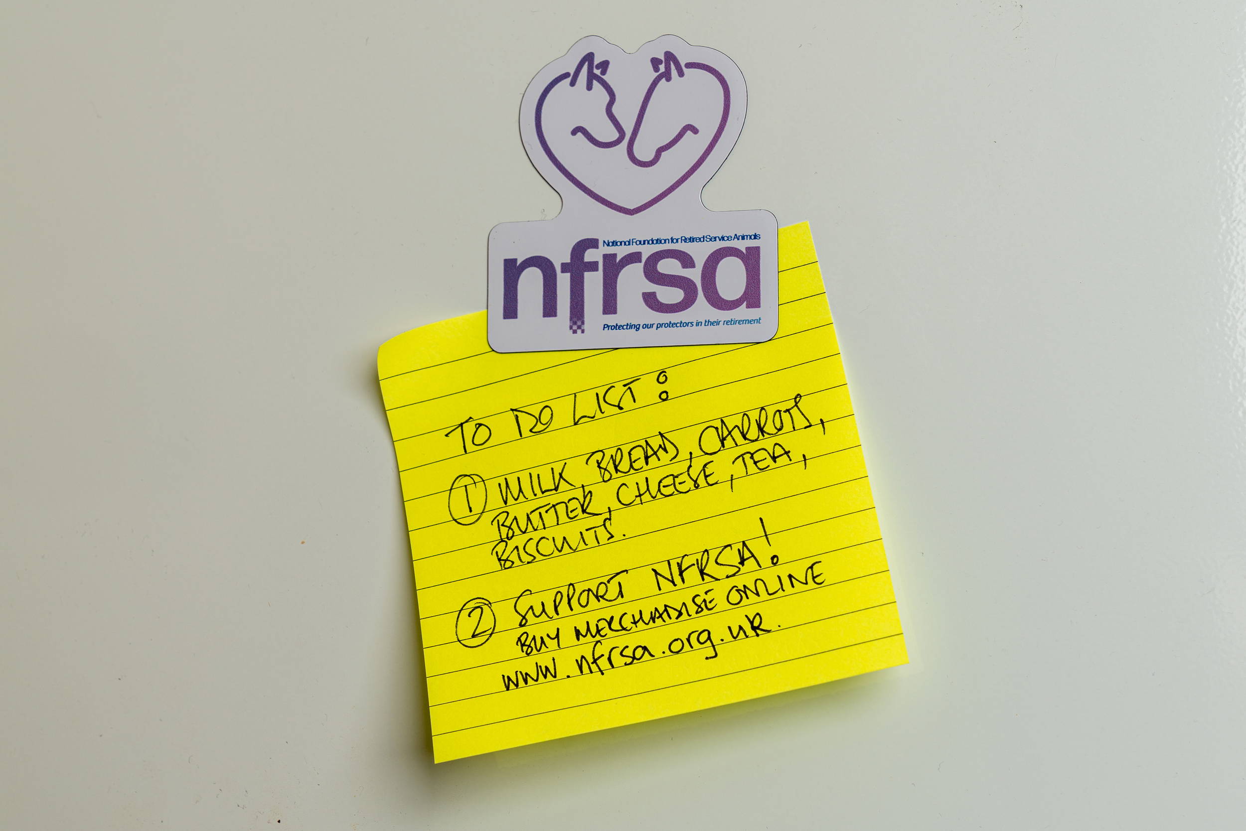 NFRSA Fridge Magnet - Image 2