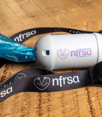 Shop for your dogs Shop for your dogs