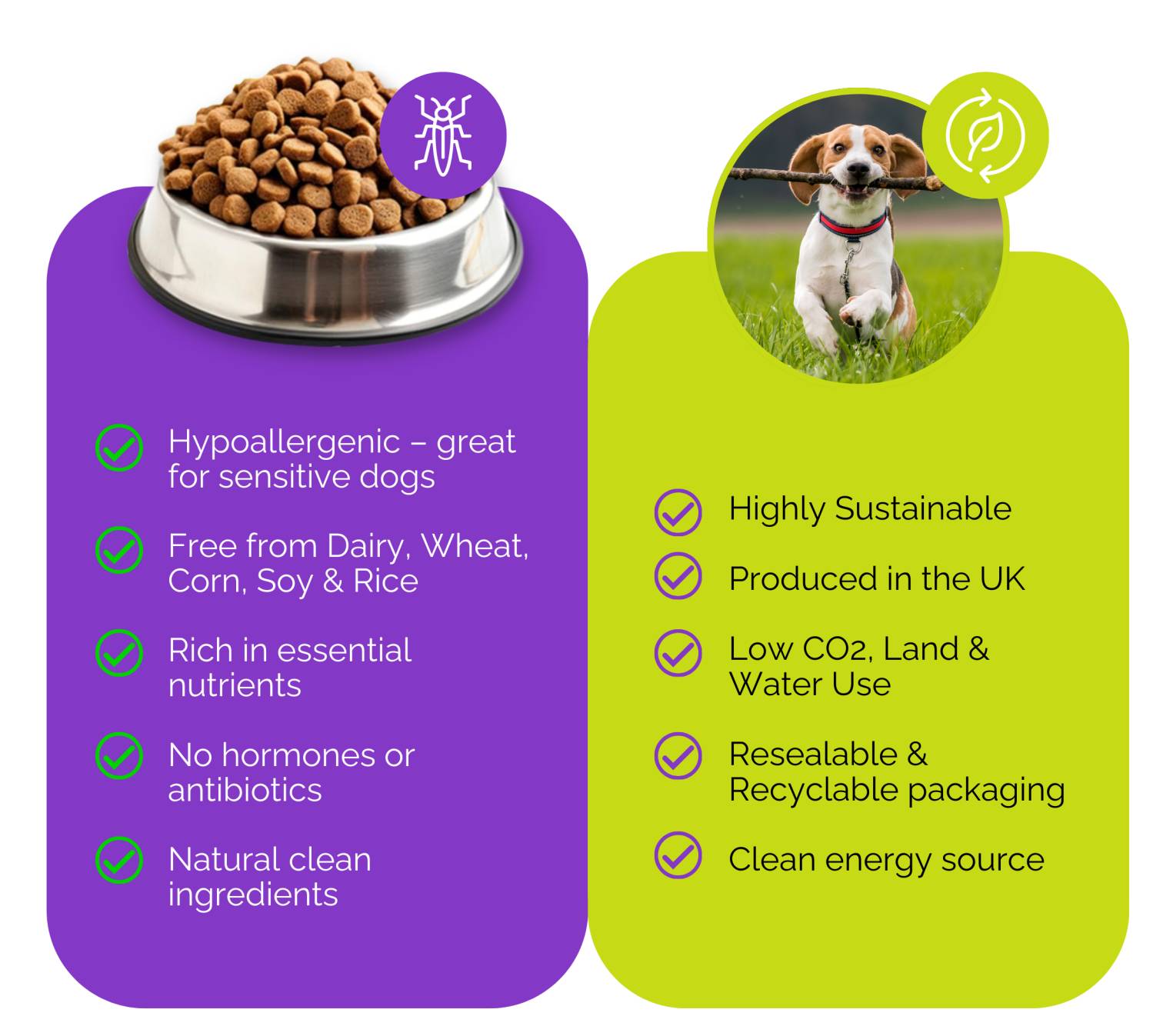 Why insect protein is better - paw-cura