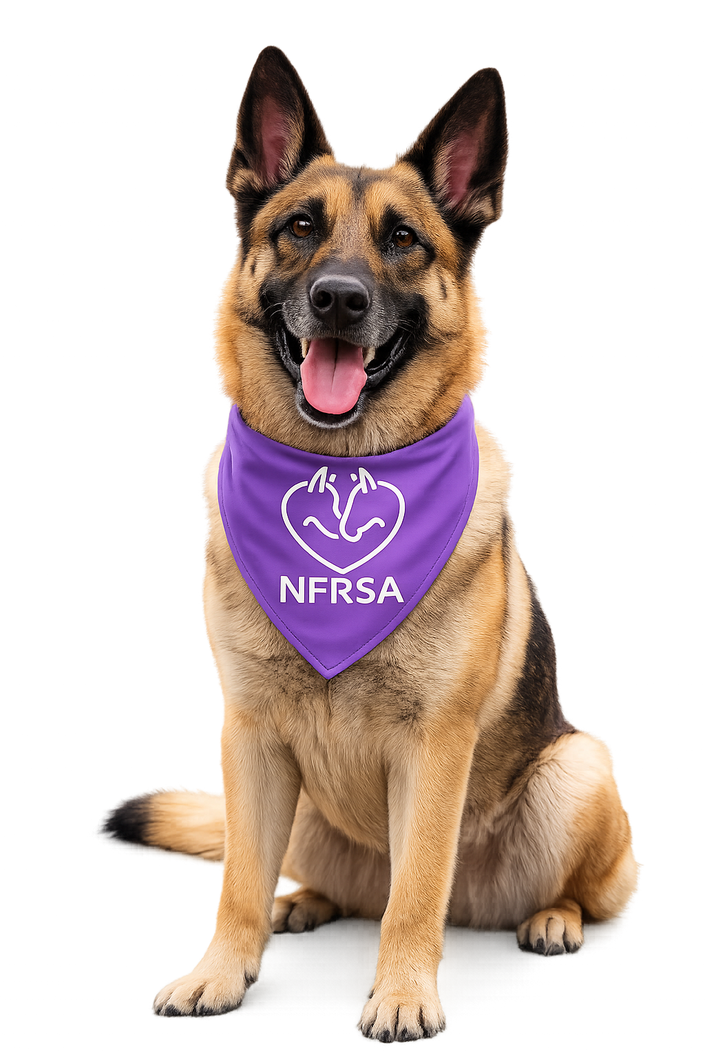 Sponsor a Dog with the NFRSA